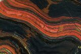Polished Tiger Iron Stromatolite - ( Billion Years) #72906-1